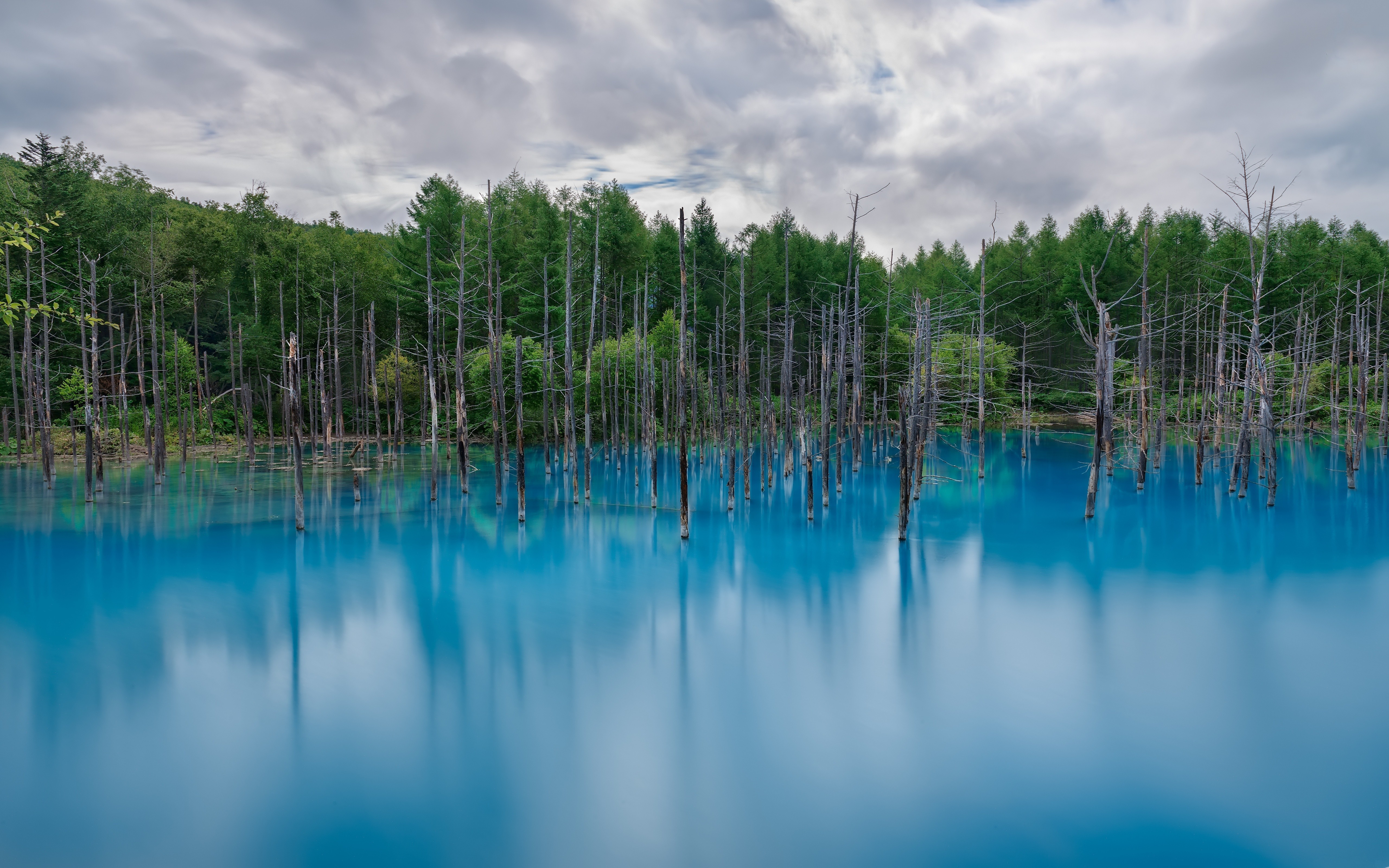 nature, Lake, Reflection, Landscape, Forest Wallpaper