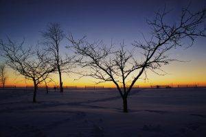 photography, Winter, Snow, Landscape, Trees, Nature, Sunrise