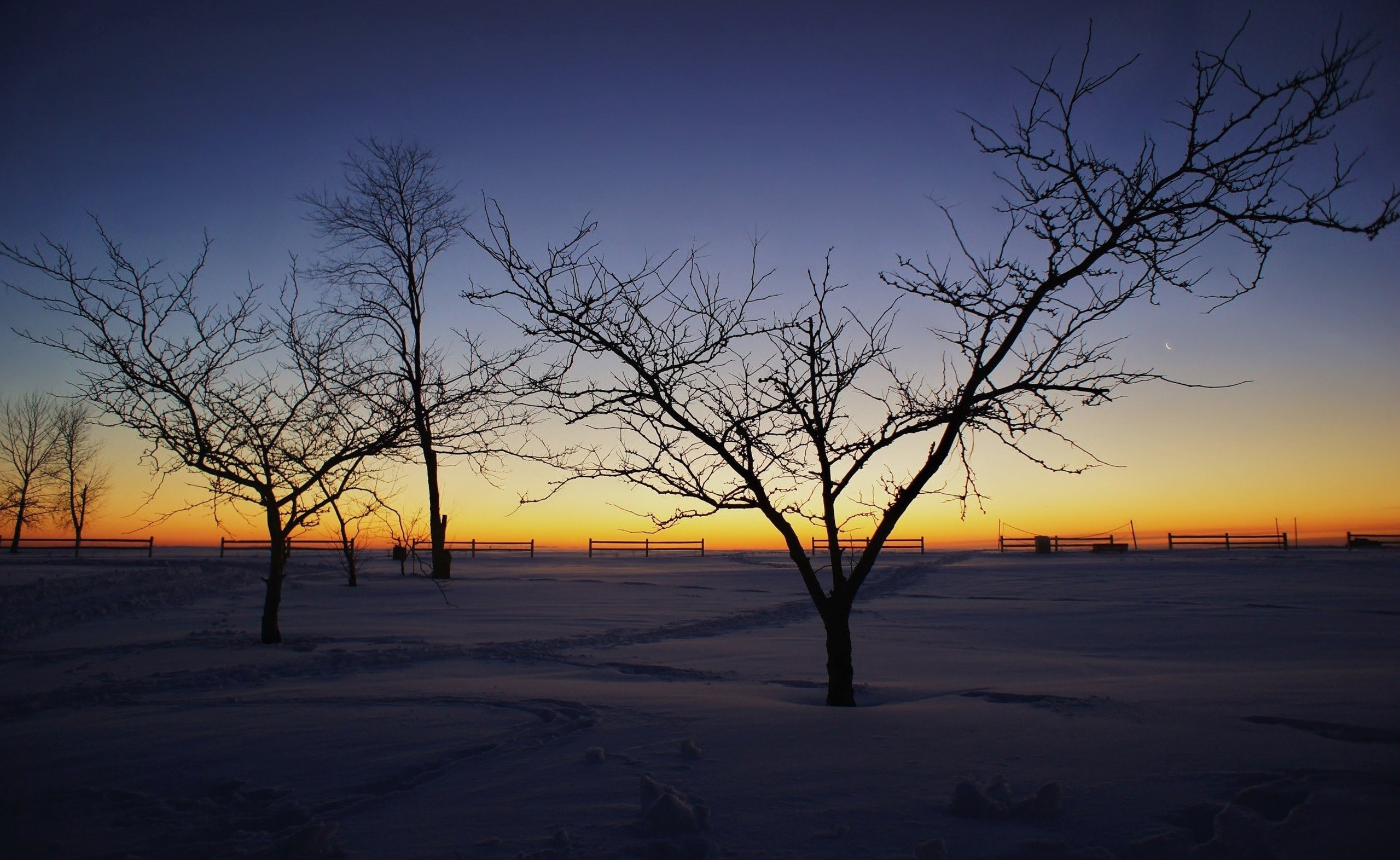 photography, Winter, Snow, Landscape, Trees, Nature, Sunrise Wallpaper
