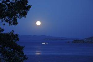 photography, Landscape, Water, Sea, Trees, Nature, Night, Moon, Coast, Rock Formation, Ship