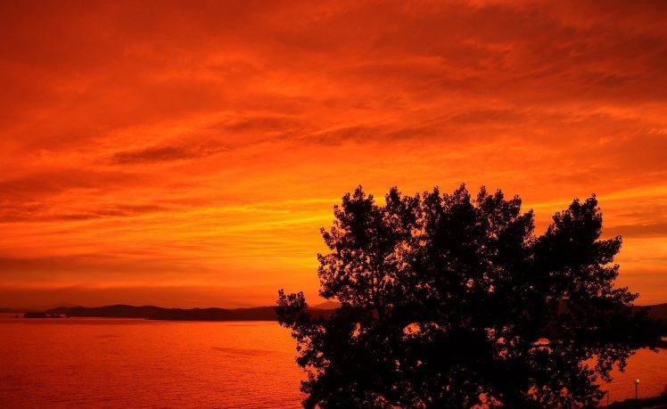 photography, Landscape, Trees, Nature, Coast, Sunset, Orange HD Wallpaper Desktop Background