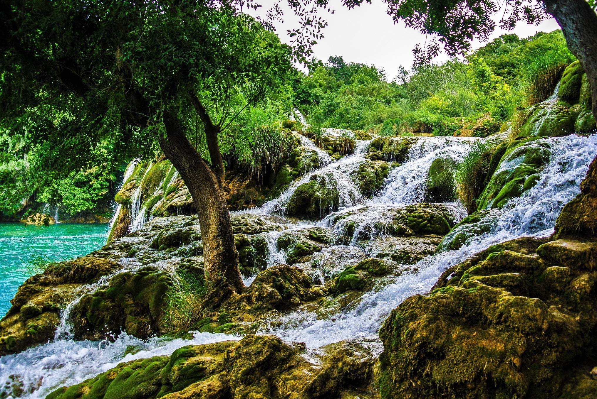 waterfall, Trees, Water, Landscape, Nature Wallpaper