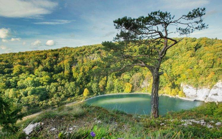 trees, Nature, Landscape, Water, Lake HD Wallpaper Desktop Background
