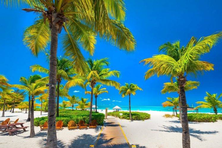 nature, Landscape, Tropical, Beach, Palm Trees, Sea, Caribbean, Walkway, White, Sand, Chair, Blue, Sky, Turks & Caicos HD Wallpaper Desktop Background