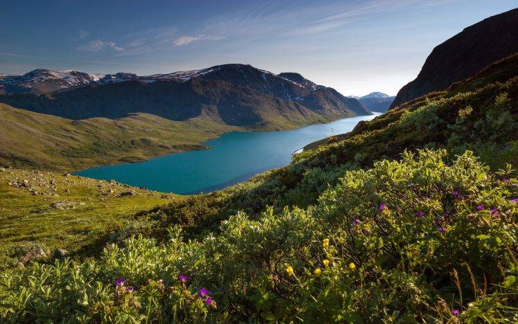 nature, Landscape, Mountain, Fjord, Snowy Peak, Sunlight, Grass, Wildflowers, Summer, Norway HD Wallpaper Desktop Background