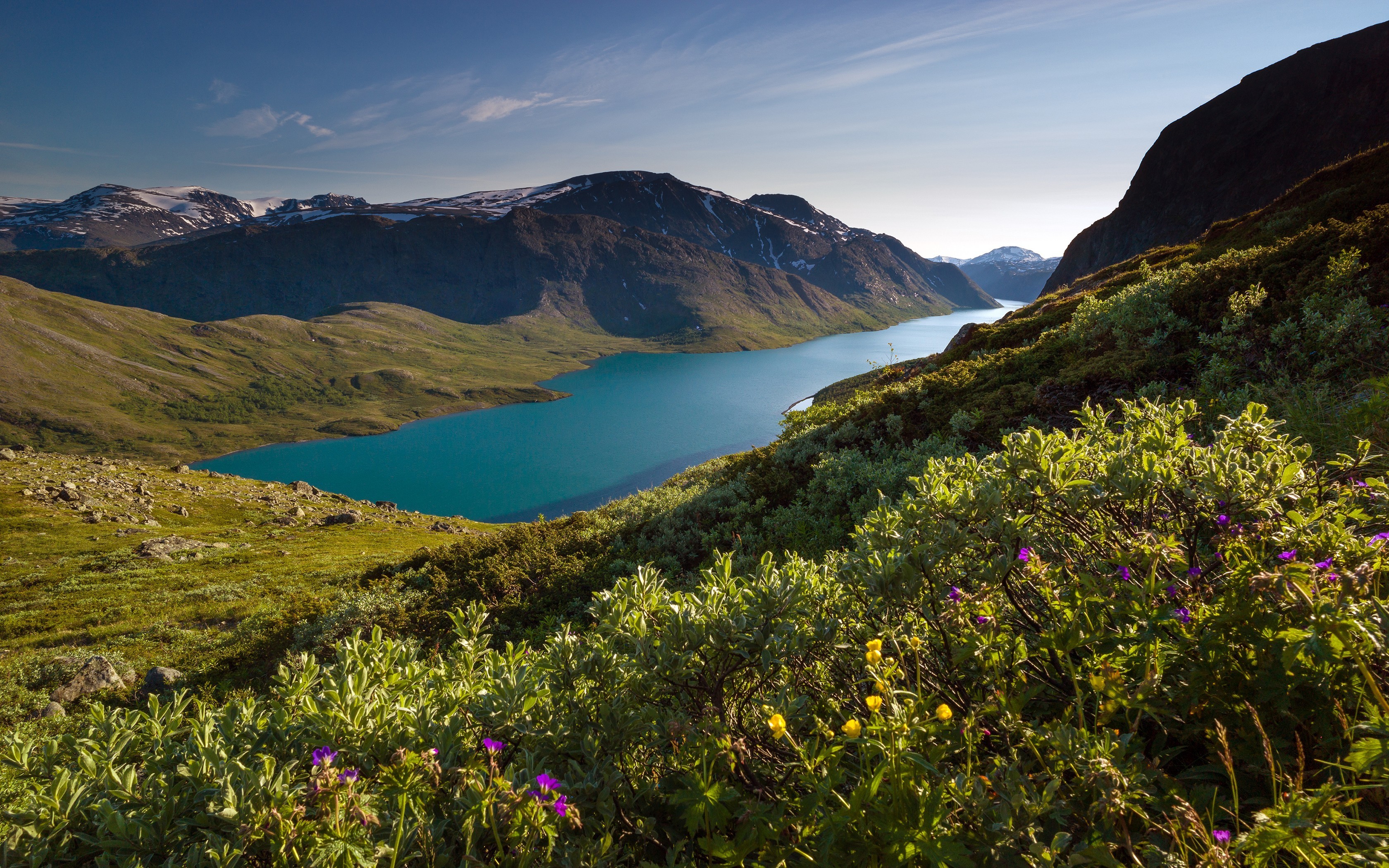nature, Landscape, Mountain, Fjord, Snowy Peak, Sunlight, Grass, Wildflowers, Summer, Norway Wallpaper