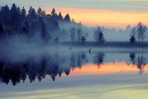nature, Landscape, Mist, Sunrise, Lake, Forest, Reflection, Blue, Trees