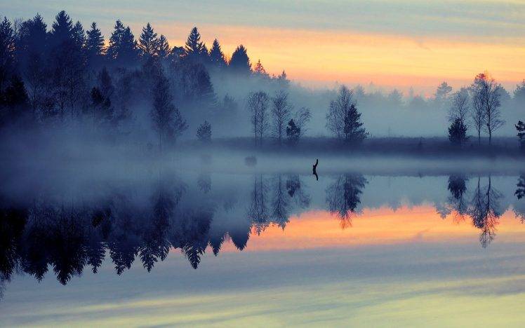 nature, Landscape, Mist, Sunrise, Lake, Forest, Reflection, Blue, Trees HD Wallpaper Desktop Background