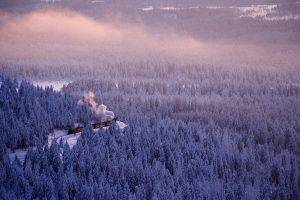 nature, Landscape, Winter, Forest, Mist, Train, Smoke, Trees, Cold, Snow, Railway, Germany