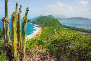 nature, Landscape, Beach, Cactus, Hill, Sea, Caribbean, Island, Summer, Road, Shrubs, Tropical, Green