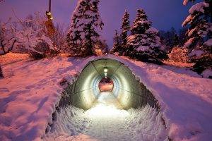 photography, Nature, Winter, Trees, Tunnel, Snow, Night