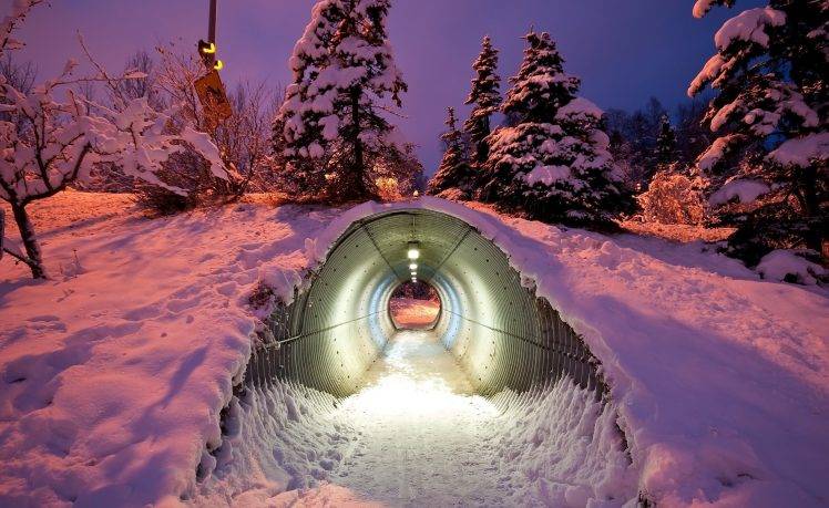 photography, Nature, Winter, Trees, Tunnel, Snow, Night HD Wallpaper Desktop Background