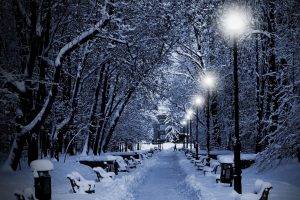 photography, Nature, Winter, Trees, Snow, Bench, Night, Lights, Park