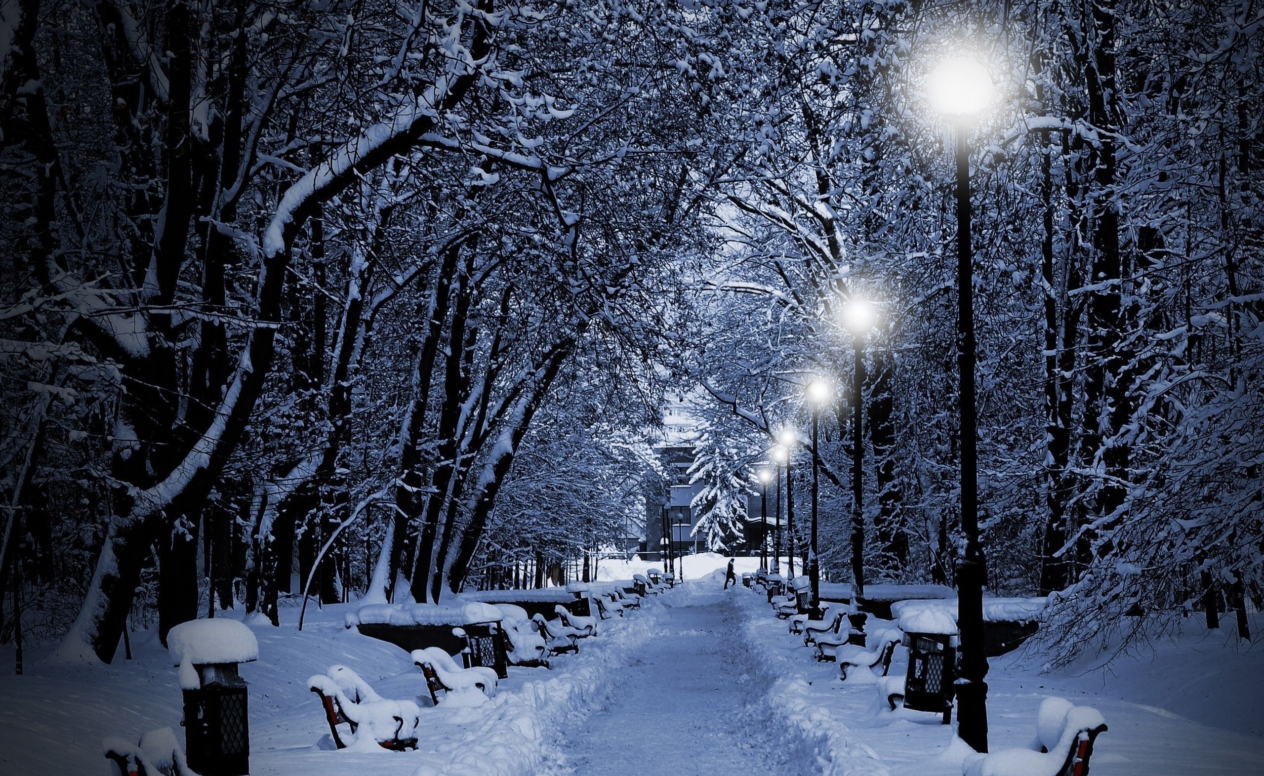 photography, Nature, Winter, Trees, Snow, Bench, Night, Lights, Park Wallpaper