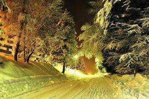 photography, Nature, Landscape, Winter, Trees, Night, Lights, Road, Snow