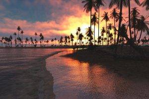 nature, Landscape, Tropical, Beach, Sunset, Palm Trees, Sea, Clouds, Sky, Sand