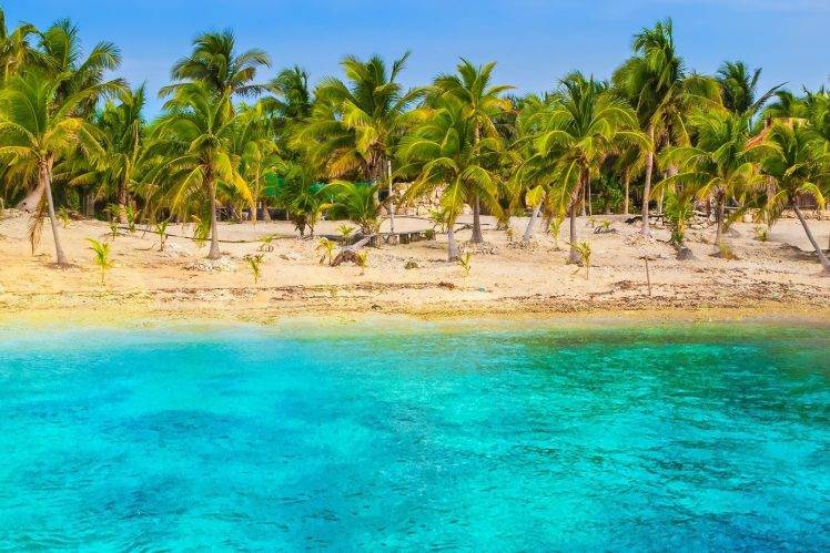 nature, Beach, Tropical, Sea, Palm Trees, Sand, Turquoise, Water, Landscape, Summer, Mexico HD Wallpaper Desktop Background