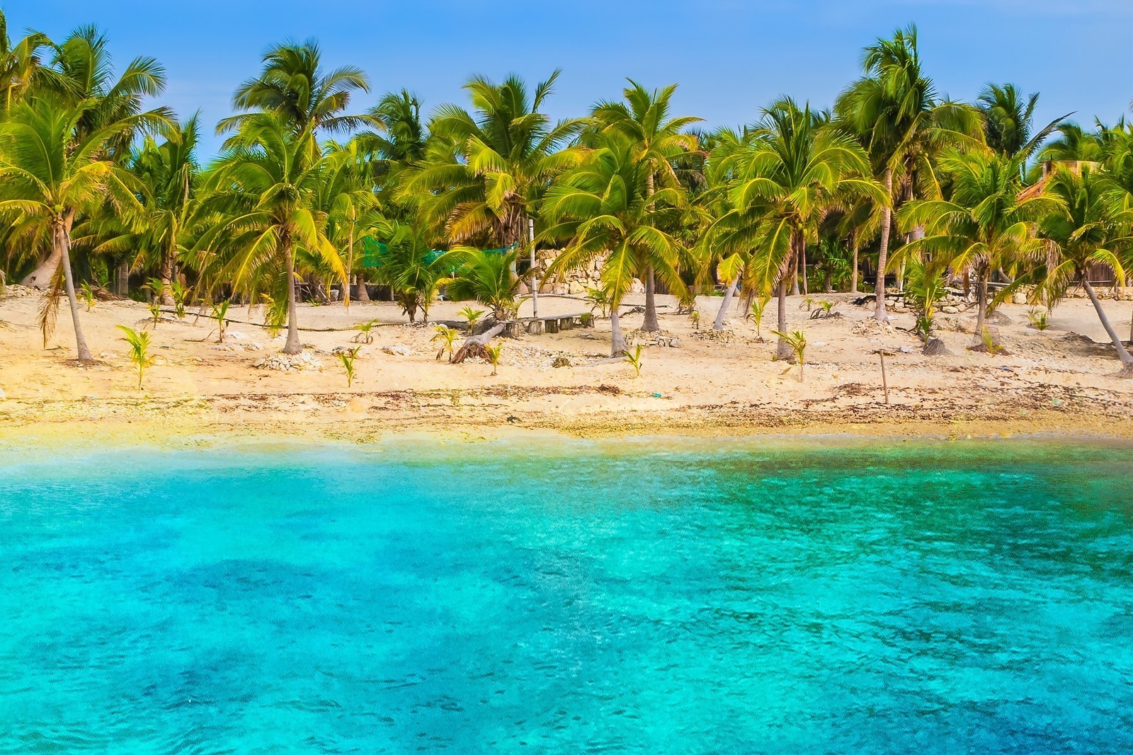 nature, Beach, Tropical, Sea, Palm Trees, Sand, Turquoise, Water, Landscape, Summer, Mexico Wallpaper