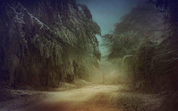 mist, Nature, Landscape, Trees, Winter, Dirt Road, Snow, Frost, Cold HD Wallpaper Desktop Background