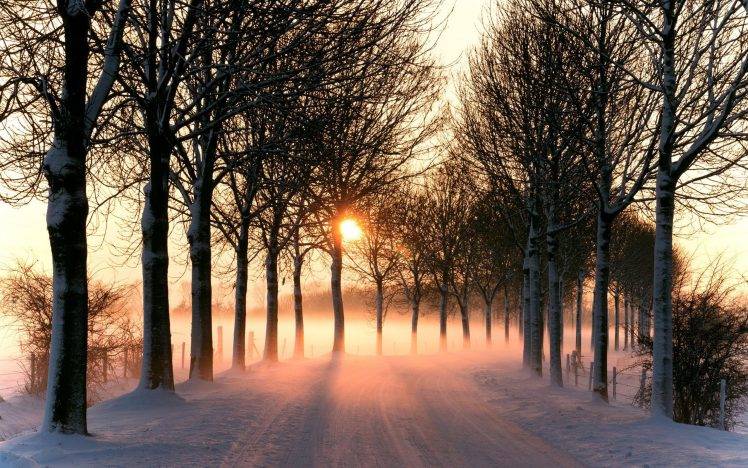 photography, Nature, Plants, Landscape, Road, Snow, Winter, Trees, Sunrise, Mist HD Wallpaper Desktop Background