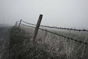 fence, Landscape, Mist
