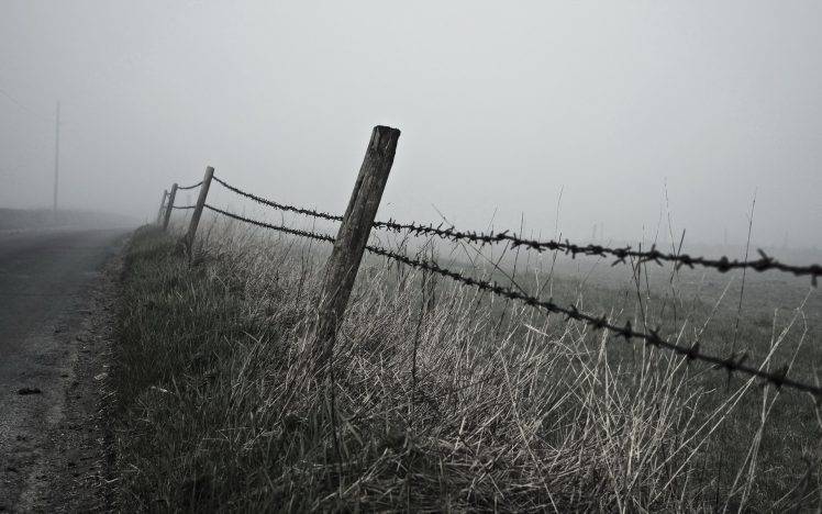 fence, Landscape, Mist HD Wallpaper Desktop Background