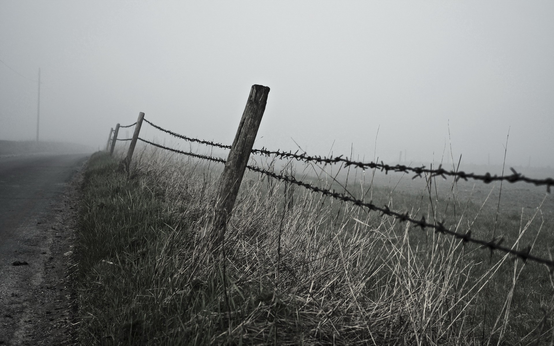 fence, Landscape, Mist Wallpaper