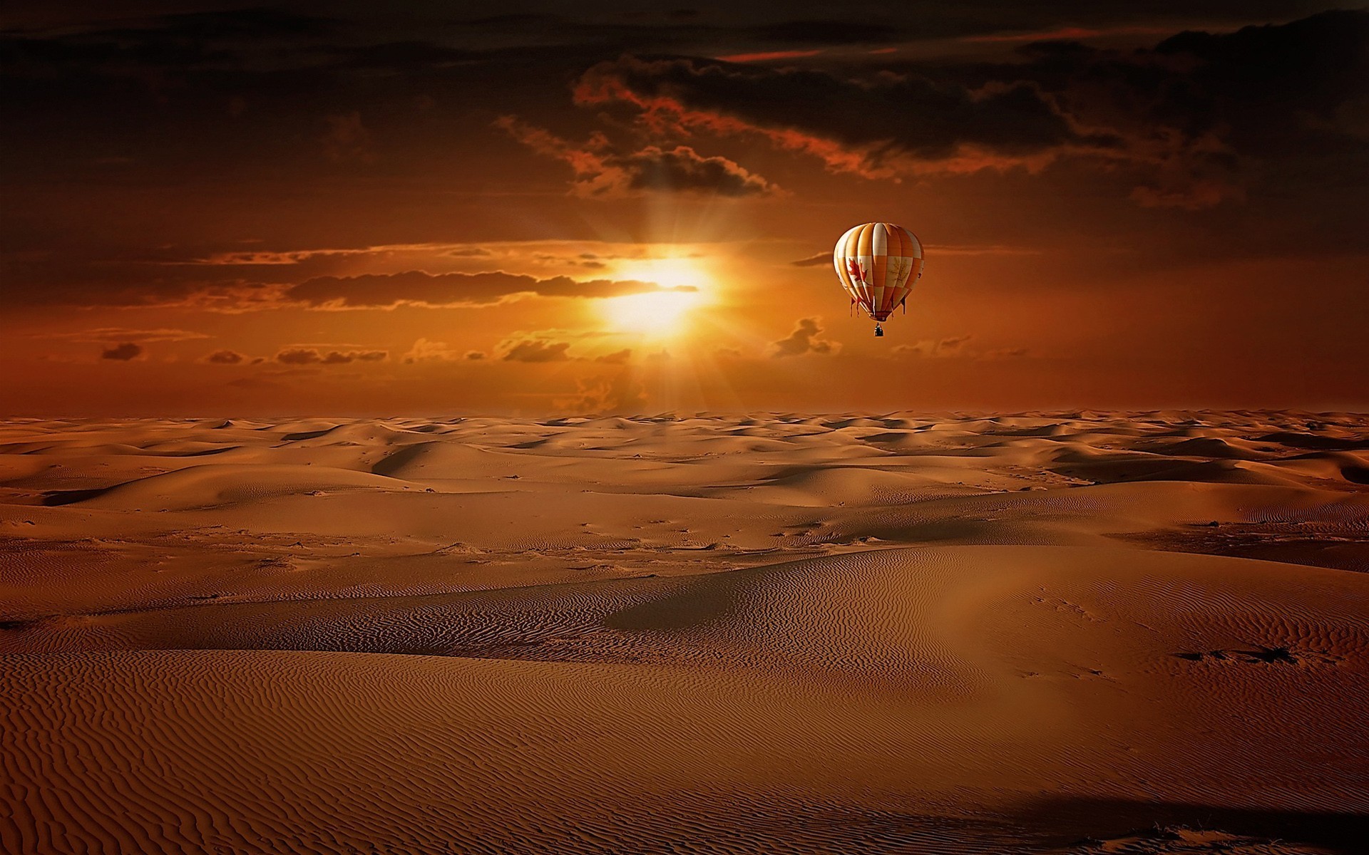 desert, Landscape, Hot Air Balloons, Flamingos Wallpapers HD / Desktop