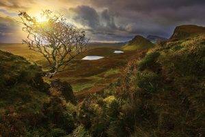 landscape, Nature, Sunrise, Valley, Shrubs, Wildflowers, Clouds, Pond, Hill, Grass, Scotland