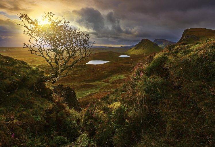 landscape, Nature, Sunrise, Valley, Shrubs, Wildflowers, Clouds, Pond, Hill, Grass, Scotland HD Wallpaper Desktop Background