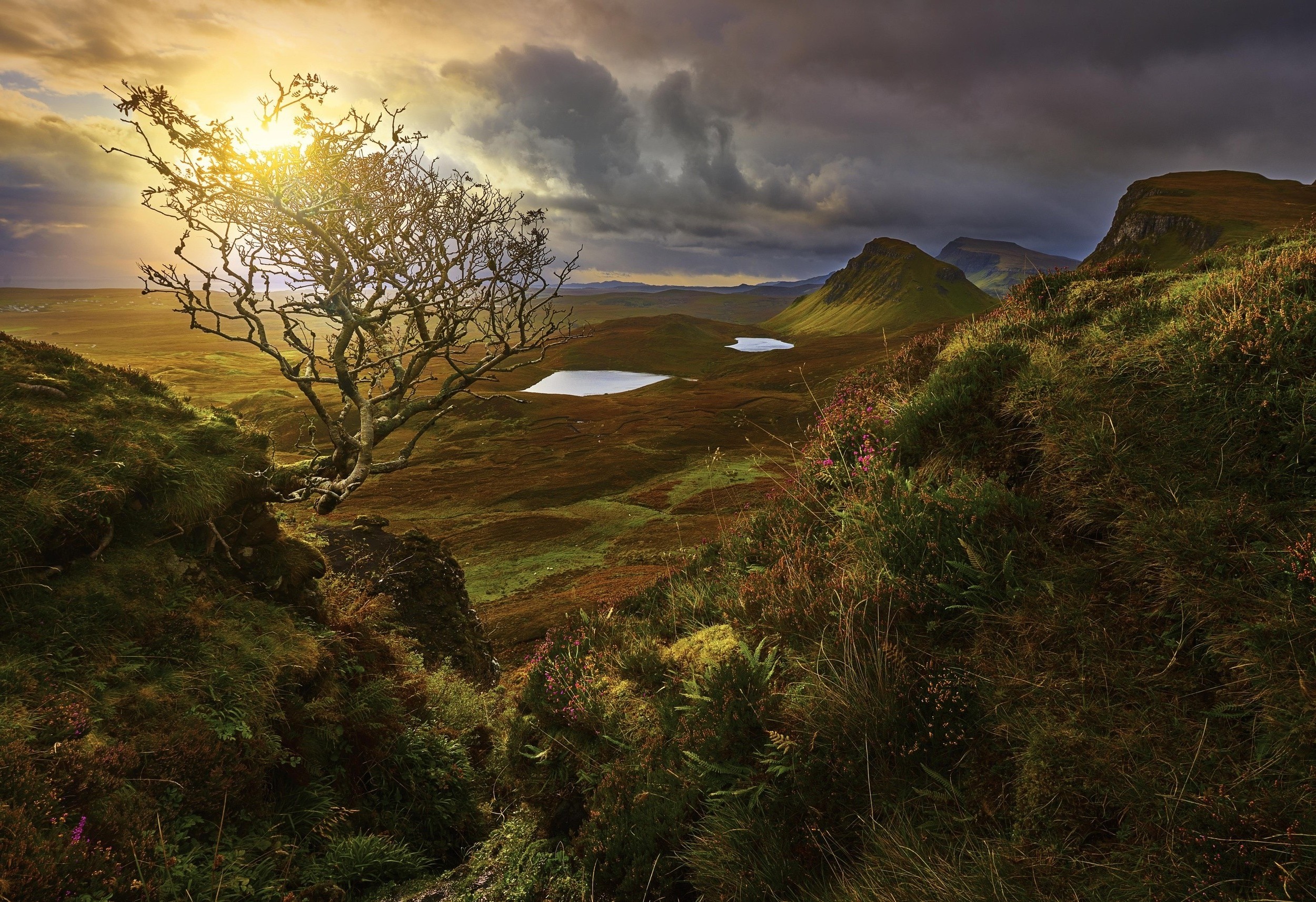 landscape, Nature, Sunrise, Valley, Shrubs, Wildflowers, Clouds, Pond, Hill, Grass, Scotland Wallpaper