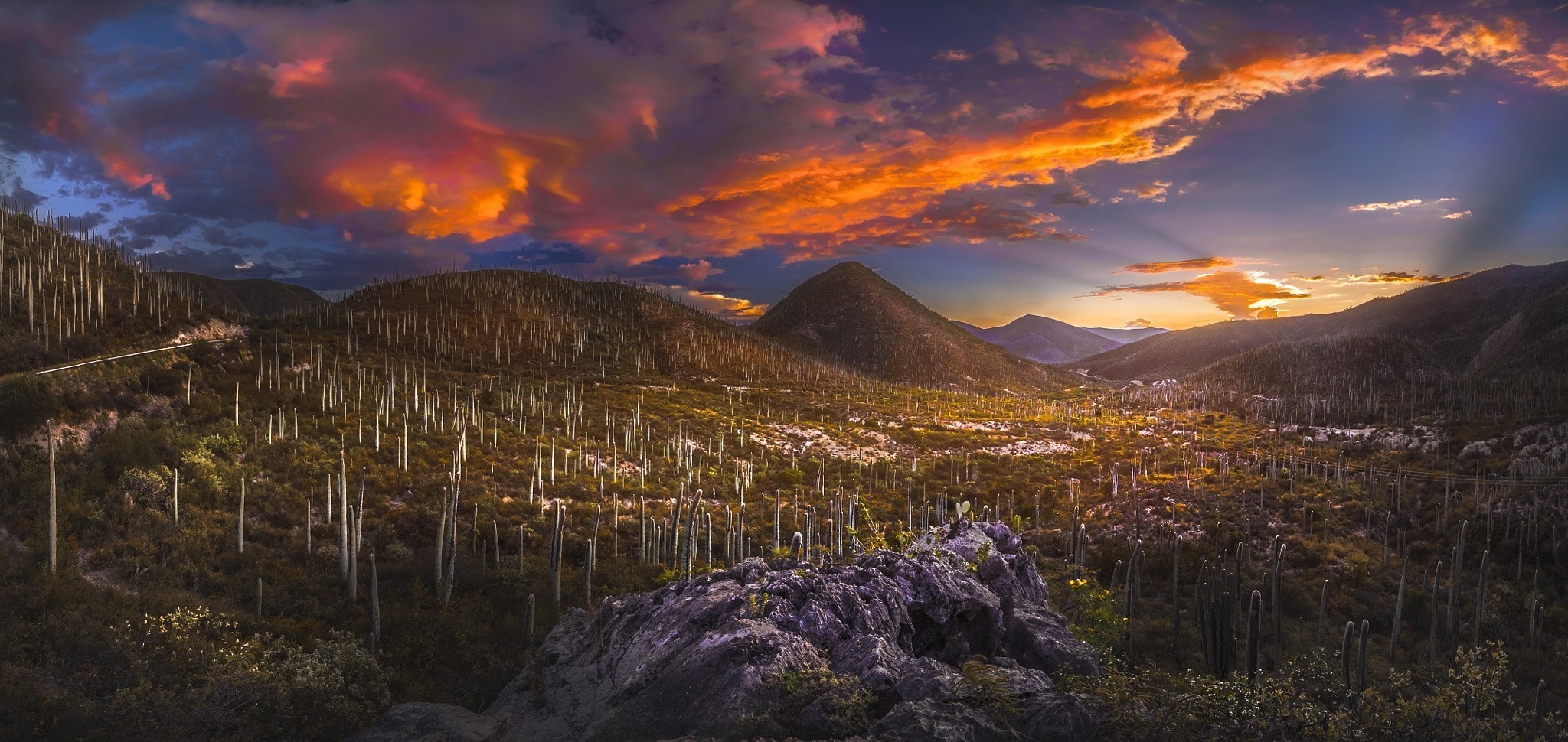 nature, Landscape, Sunset, Desert, Valley, Hill, Clouds, Sky, Sunlight, Cactus, Shrubs, Mexico Wallpaper
