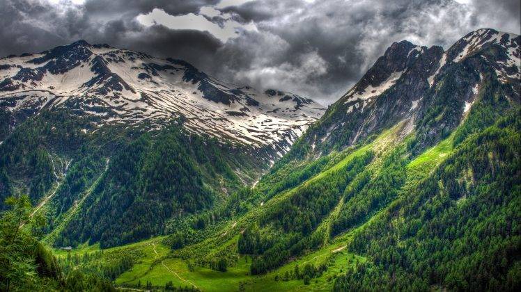 nature, Landscape, Forest, Snowy Peak, Clouds, Spring, Swiss Alps, Green HD Wallpaper Desktop Background