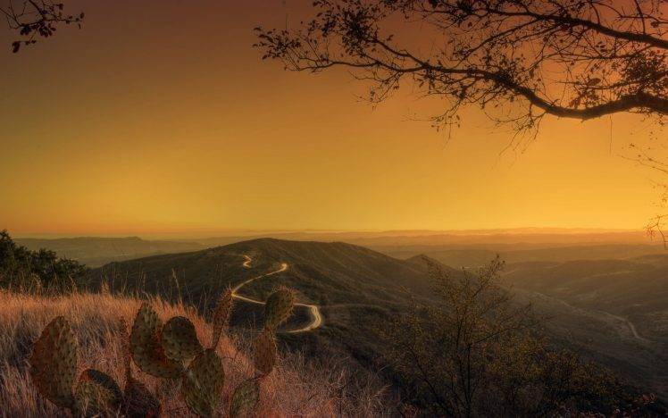 photography, Sunset, Landscape, Nature, Trees, Plants, Hill HD Wallpaper Desktop Background