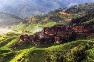 nature, Landscape, Trees, China, Asia, Rice Paddy, Morning, Mist, House, Hill, Forest, Terraced Field, Village