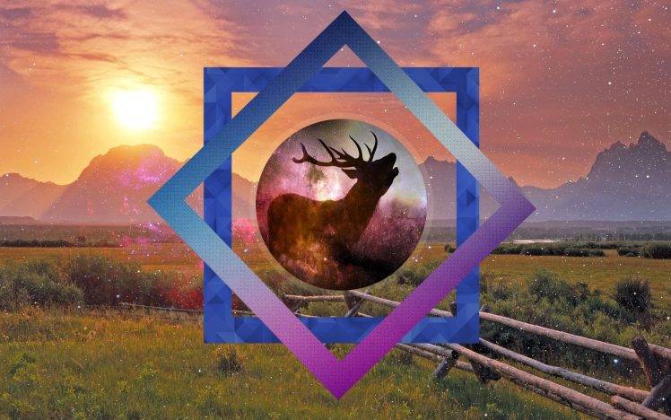 nature, Deer, Peace, Peaceful HD Wallpaper Desktop Background