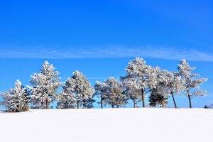 landscape, Winter, Seasons, Trees, Snow