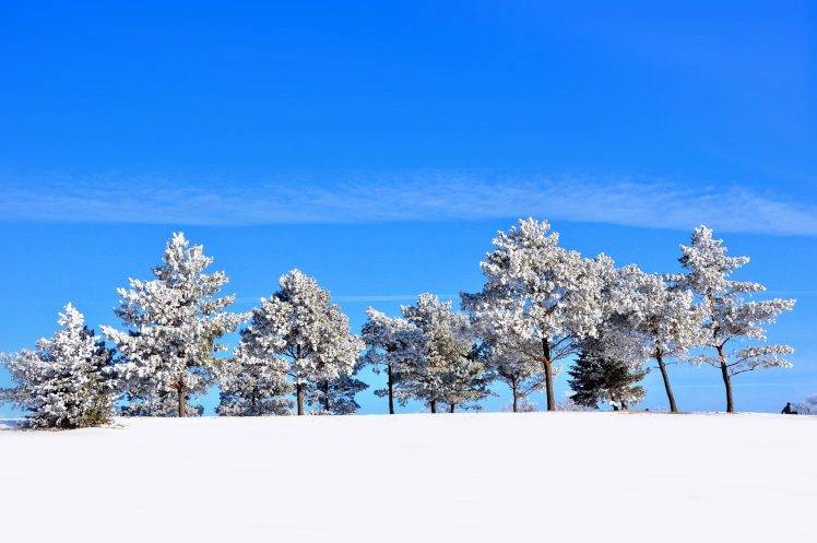 landscape, Winter, Seasons, Trees, Snow HD Wallpaper Desktop Background