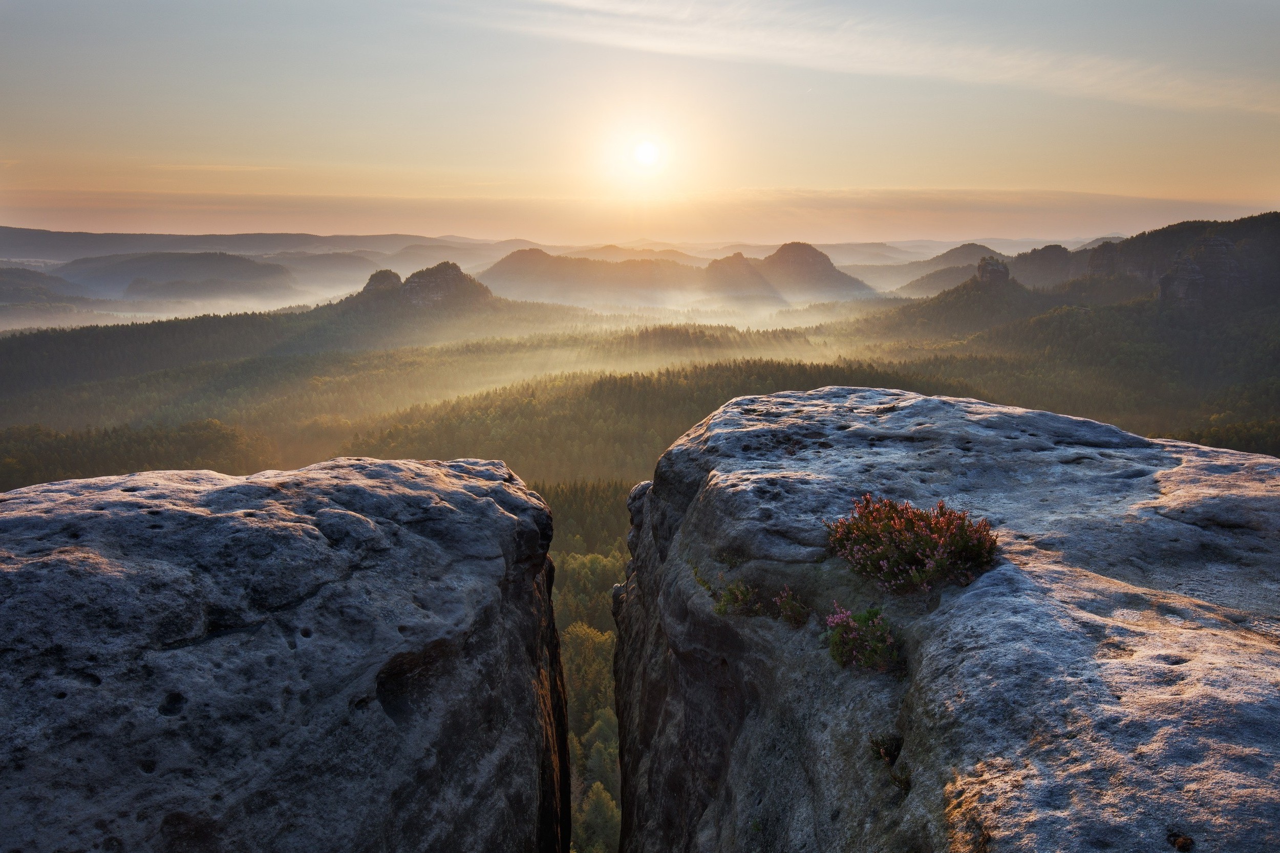 nature, Landscape, Mist, Mountain, Forest, Summer, Sunrise, Shrubs, Sunlight, Germany Wallpaper