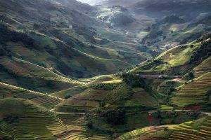 nature, Landscape, Mountain, Field, Terraces, Sunlight, Road, Trees, Village, Green, Vietnam, Rice Paddy