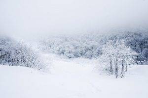 landscape, Winter, Snow