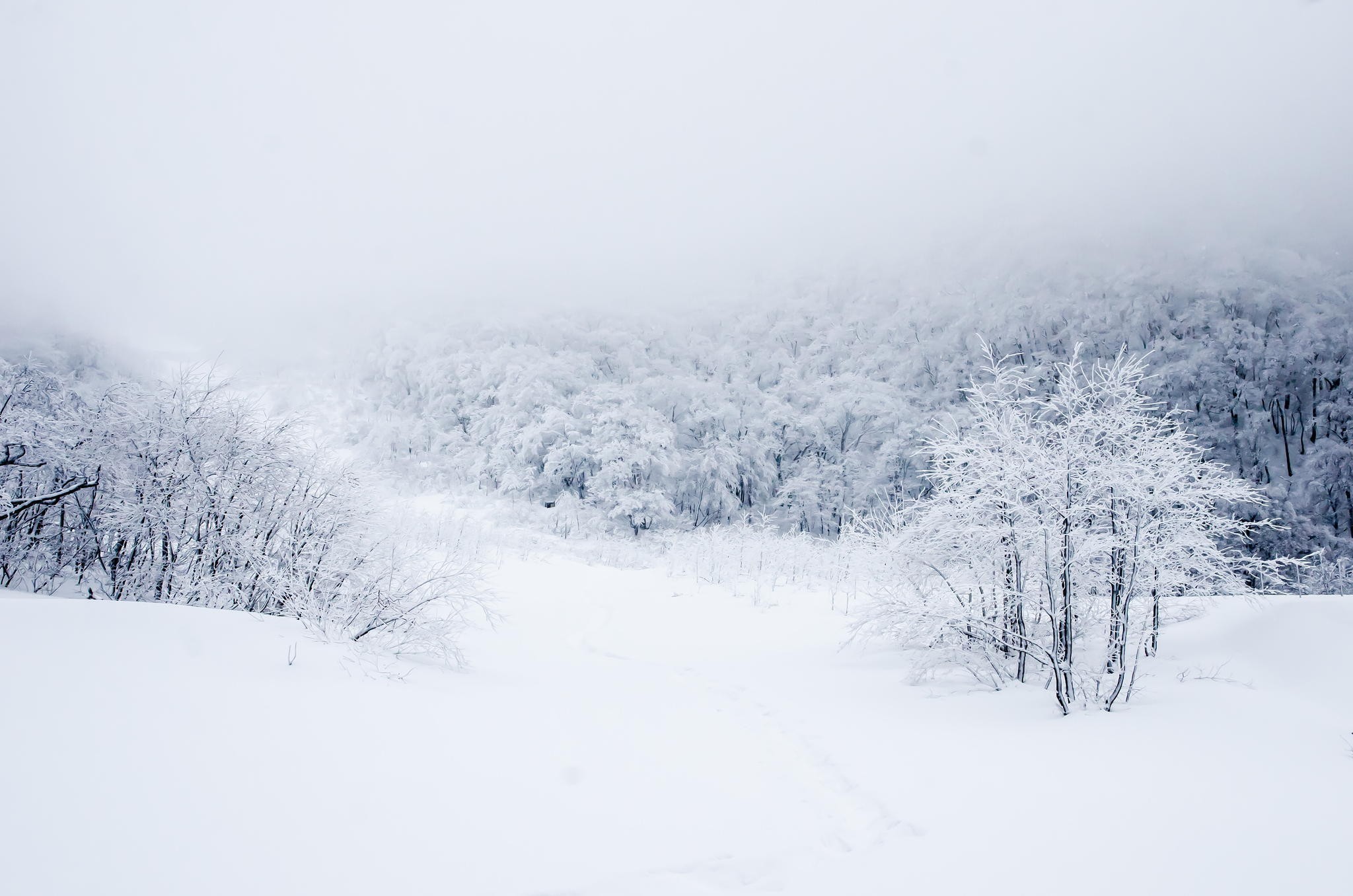 landscape, Winter, Snow Wallpaper