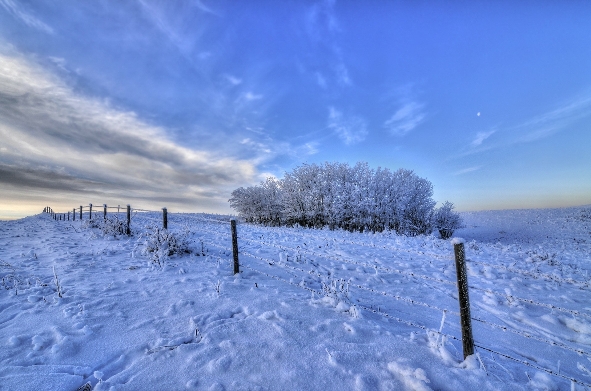 Winter Seasons Fence Snow Ice Trees Nature Landscape Wallpapers 