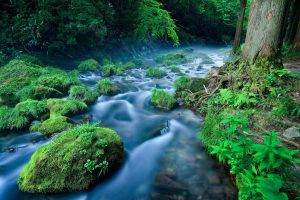 river, Nature, Landscape, Water, Green, Plants
