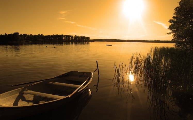 photography, Landscape, Nature, Plants, Water, Sunset, Sunlight, Lake, Reeds, Boat HD Wallpaper Desktop Background