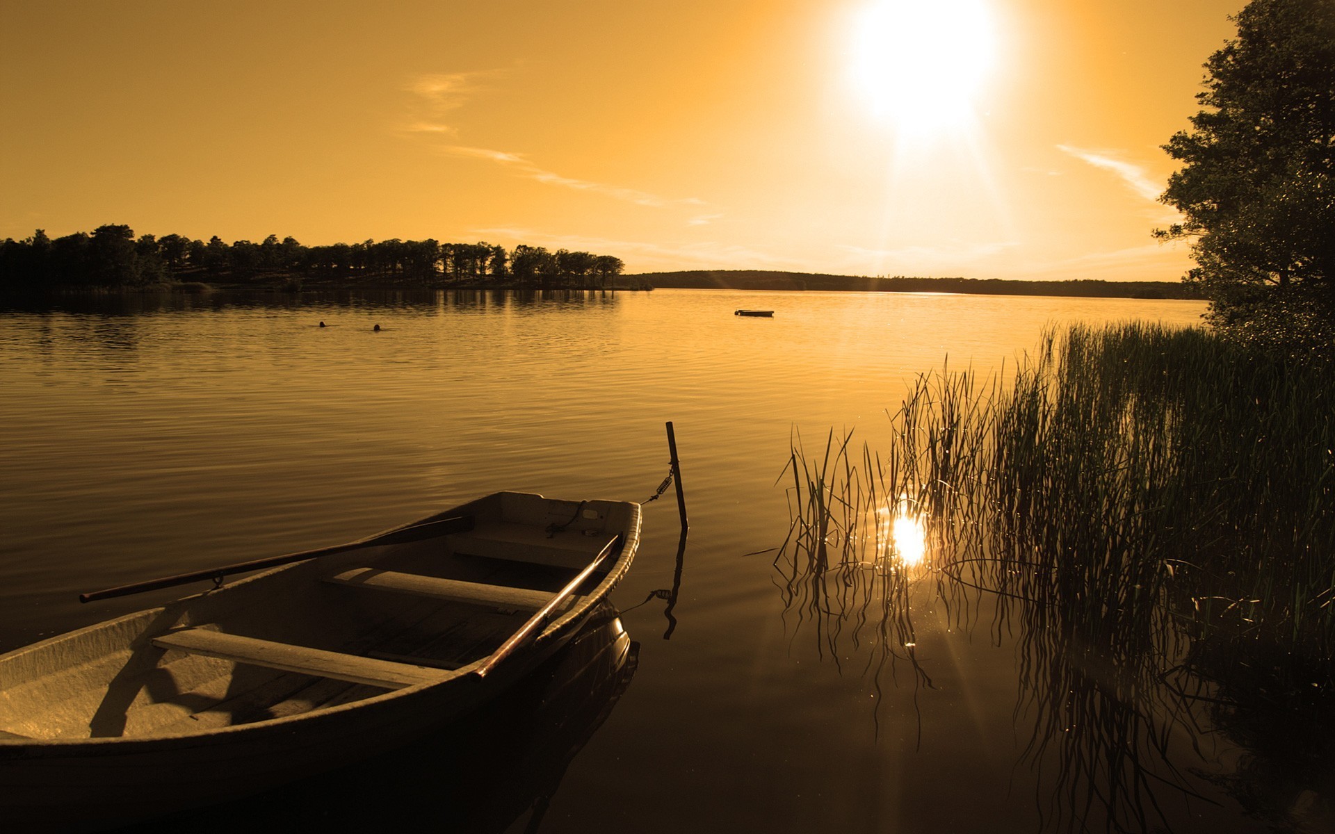 photography, Landscape, Nature, Plants, Water, Sunset, Sunlight, Lake, Reeds, Boat Wallpaper
