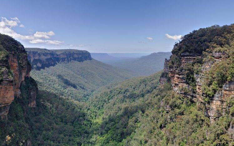 photography, Landscape, Nature, Plants, Valley, Cliff, Australia HD Wallpaper Desktop Background