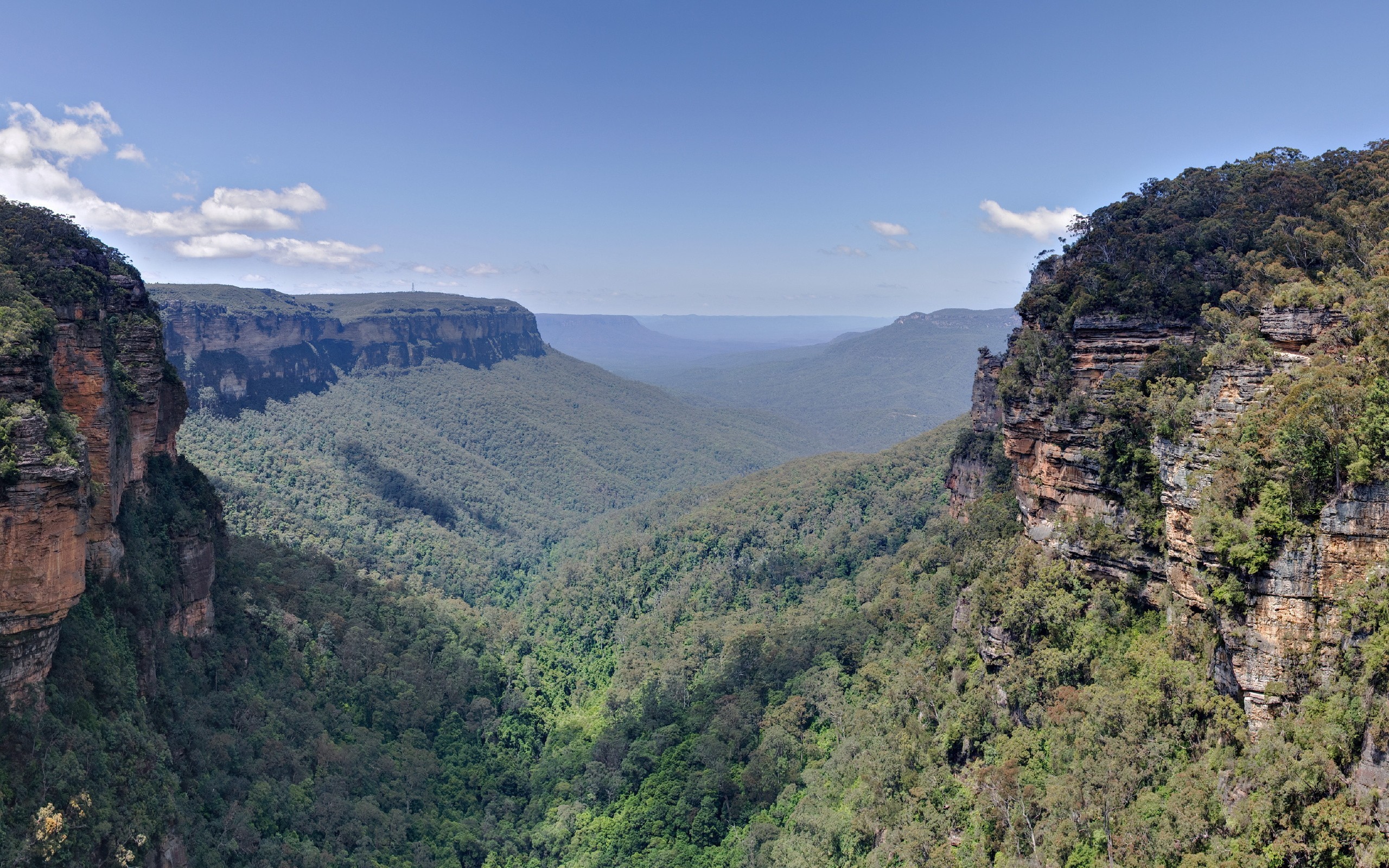 photography, Landscape, Nature, Plants, Valley, Cliff, Australia Wallpaper