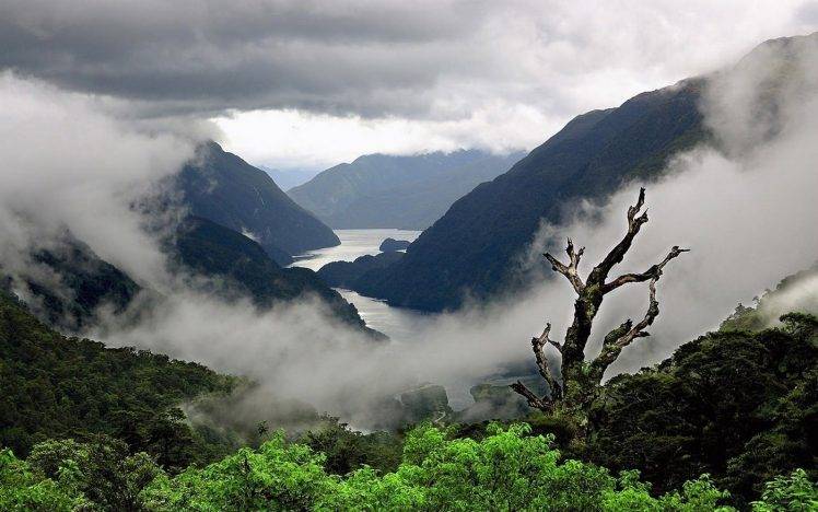 nature, Mist, Landscape, Fjord, Mountain, Trees, Shrubs, Overcast HD Wallpaper Desktop Background