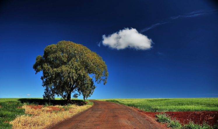 clouds, Landscape, Field, Trees HD Wallpaper Desktop Background